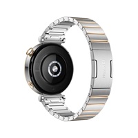 Huawei Watch GT4 41mm (Aurora-B19T), silver EU
