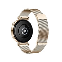 Huawei Watch GT4 41mm (Aurora-B19M), gold EU