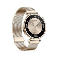 Huawei Watch GT4 41mm (Aurora-B19M), gold EU