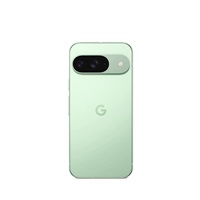 Google Pixel 9 - 256GB Wintergreen, USA