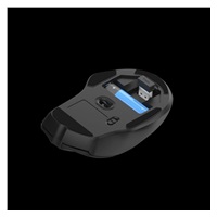 TRUST myš Nito tichá bezdrátová myš, optická, USB, černá