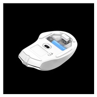 TRUST myš Nito tichá bezdrátová myš, optická, USB, bílá