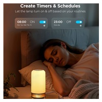 Bazar - Govee Table Lamp 2 RGBW Stolní lampa Matter - pošk. obal