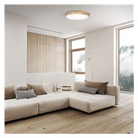 Solight LED osvětlení s dálkovým ovladačem Solid Oak, 60W, 4200lm, 51cm, změna chromatičnosti, stmívatelné
