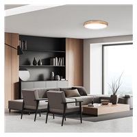 Solight LED osvětlení s dálkovým ovladačem Solid Oak, 60W, 4200lm, 51cm, změna chromatičnosti, stmívatelné