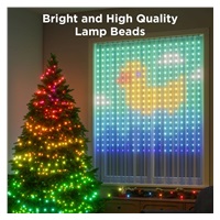 Govee Netflix RGBIC Curtain Light 400 LED - 1,5 x 1,5m