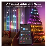 Govee Netflix RGBIC Curtain Light 400 LED - 1,5 x 1,5m