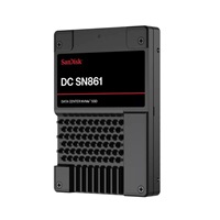 SanDisk Enterprise SSD 3.84TB DC SN861, PCIe Gen5, (R:13700, W:7200MB/s), RI-1DW/D BICS6 ISE