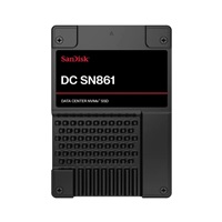 SanDisk Enterprise SSD 3.84TB DC SN861, PCIe Gen5, (R:13700, W:7200MB/s), RI-1DW/D BICS6 TCG Opal