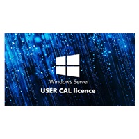 FUJITSU Windows 2025 - WINSVR CAL 5 User