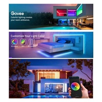 BAZAR - Govee WiFi RGB Smart LED pásek 10m - Poškozený obal (Komplet)