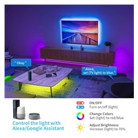 BAZAR - Govee WiFi RGB Smart LED pásek 10m - Poškozený obal (Komplet)