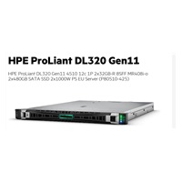 HPE PL DL320g11 4510 (2.4/12C) 2x32G (p64706) 2x480G (P40497) MR408i-o 8SFF 2x1000W 2x1Gb Smart Choice