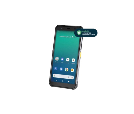 Newland M10 Pilot Pro, 2D, 14.5cm (5.7''), GPS, USB-C, BT, Wi-Fi, 4G, NFC, Android, kit, GMS, white