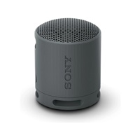 Sony Loudspeakers SRSXB100B.CE7 / SRS-XB100 Black