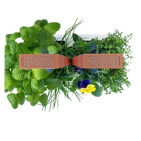 VZOREK - Véritable SMART -  květináč, černá měděná