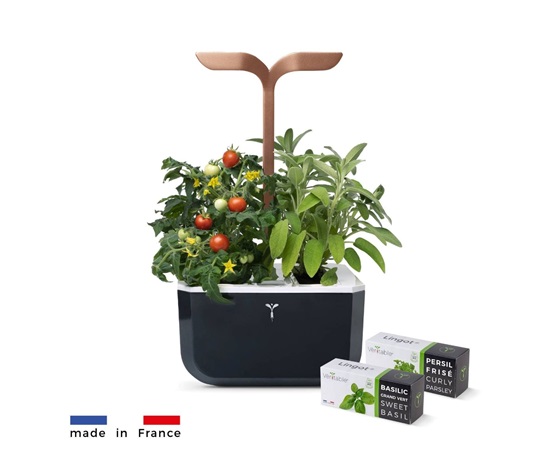 VZOREK - Véritable Exky SMART - květináč, černá měděná