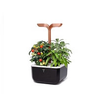 VZOREK - Véritable Exky SMART - květináč, černá měděná