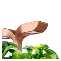 VZOREK - Véritable Exky SMART - květináč, černá měděná