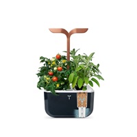 VZOREK - Véritable Exky SMART - květináč, černá měděná