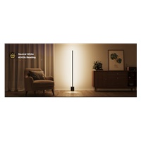 VZOREK - Govee Floor Lamp 2 MATTER RGBICWW Smart lampa