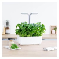 Véritable Lingot Bazalka mamutí