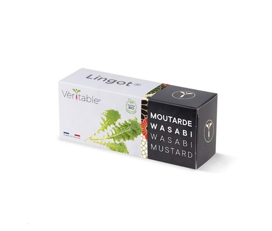 Véritable Lingot Wasabi hořčice listová - BIO