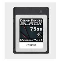 Delkin CFexpress BLACK R1725/W1240 75GB