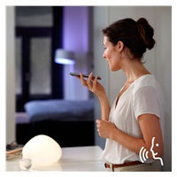 BAZAR - PHILIPS Hue Bridge