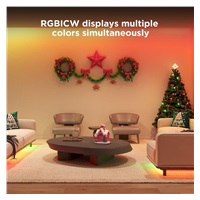 Govee WiFi RGBICW Smart PRO LED pásek 3m Matter - extra odolný