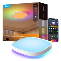 Govee RGBICWW Smart čtverhranné stropní světlo 2400lm 30cm Matter