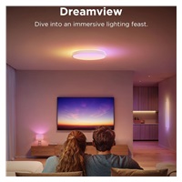 Govee RGBICWW Smart kulaté stropní světlo 4300lm 38cm Matter