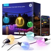 Govee RGBICW Smart zahradní řetěz 15 žárovek Matter