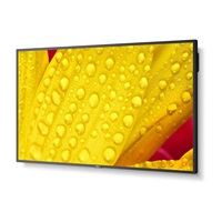 SHARP/NEC LFD 65" MultiSync M651-2, IPS, 3840x2160, 500nit, 8000:1, 8ms, 24/7, DP, HDMI, LAN, USB, Mediaplayer