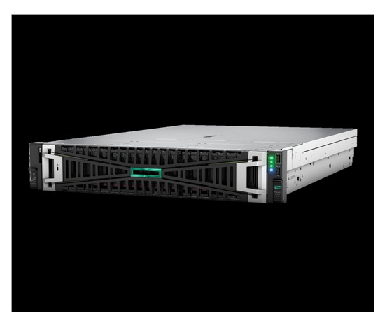 HPE PL DL345g11 AMD Epyc 9015 (3.6G/8C) 2x32G 2x960G 2x1000W MR416i-p 8LFF 4p1G Smart Choice