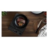 Salente InductPro1, indukční vařič, jednoplotýnkový, černý