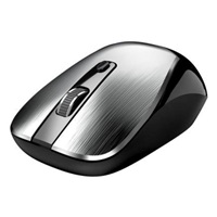 GENIUS myš NX-7125 Silver/ 1200 dpi/ bezdrátová/ Copilot/ stříbrná