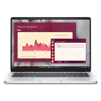 DELL NTB Pro 14 PC14250/U5-235U/16GB/512SSD/14" FHD+ /IR Cam & Mic/65W/WLAN/vPro|Backlit Kb/W11 Pro/3Y PS NBD