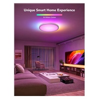 Govee RGBICWW Smart kulaté stropní světlo 2400lm 30cm Matter