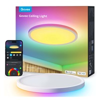 Govee RGBICWW Smart kulaté stropní světlo 2400lm 30cm Matter