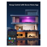 Govee RGBICWW Smart kulaté stropní světlo 2400lm 30cm Matter