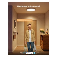 Govee RGBICWW Smart kulaté stropní světlo 2400lm 30cm Matter