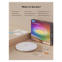 Govee RGBICWW Smart kulaté stropní světlo 2400lm 30cm Matter