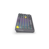 Endorfy herní klávesnice Celeris 1800, bezdrátová, yellow switch, mechanická, US layout, RGB