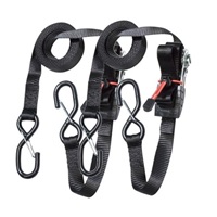 Master Lock Upínací popruhy s ráčnou a háčky  3066EURDAT - 425 cm (2 ks/blistr)