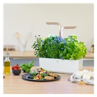 Véritable CONNECT - Smart automatický květináč s regulací osvětlení, bílá-champagne + 4 bylinkové náplně