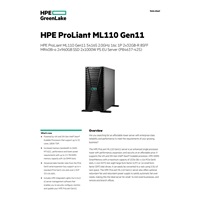 HPE PL ML110g11 5416S (2.0G/16C) 2x32G (p43328) 2x960G (p40498) 2x1000W MR408i-o 8SFF 2p10GT Smart Choice
