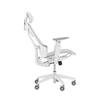 ASUS herní křeslo ROG Destrier Core, bílá