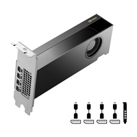 PNY VGA NVIDIA RTX 2000 ADA 16G, 16G GDDR6, 4xmDP