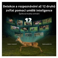 REOLINK Fotopast Talon Series T130, 4K UHD, 4G LTE